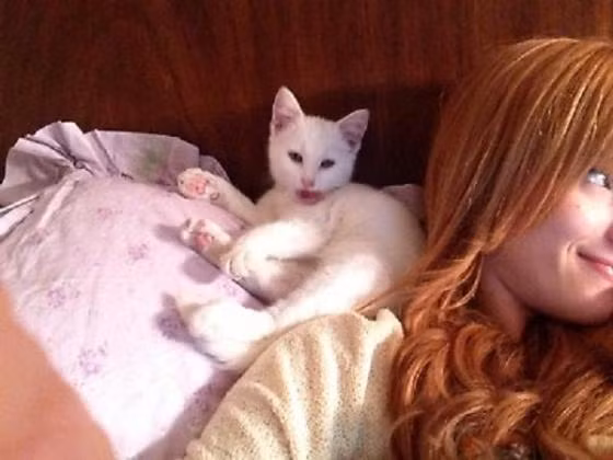 Một là cô mèo lộng lẫy Marilyn đặt theo tên của nữ minh tinh Marilyn Monroe, hai là chú mèo Louis V đặt theo tên hãng thời trang danh tiếng Louis Vuitton.