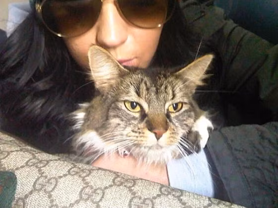 Thậm chí, Kitty Purry cũng đã từng xuất hiện trong MV giúp làm nên tên tuổi của nữ ca sỹ “I Kissed A Girl” của với tư cách diễn viên khách mời.