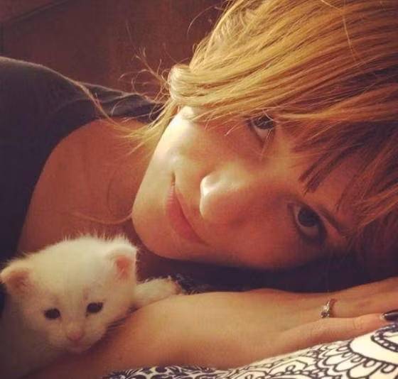 Bella Thorne, Công chúa của hãng phim Disney, đang sở hữu hai em mèo xinh xắn.