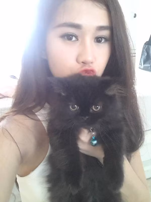 Hot girl Ngọc Thảo có vài chú mèo tây rất đáng yêu. Cô nàng thích thể hiện tình cảm của mình với các em mèo này qua ảnh.