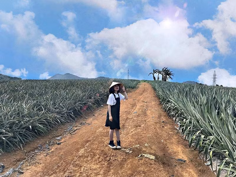 Được biết nông trại Đồng Giao còn có tên gọi khác là nông trại dứa - một vùng đất khá nổi tiếng của mảnh đất Tam Điệp, Ninh Bình, cách Hà Nội chỉ hơn 90km đường bộ.