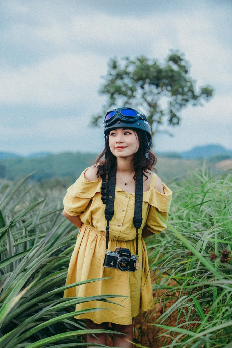 Thời điểm được xem là đẹp nhất để tham quan nông trại dứa đó là khoảng từ tháng 3 đến giữa tháng 7.