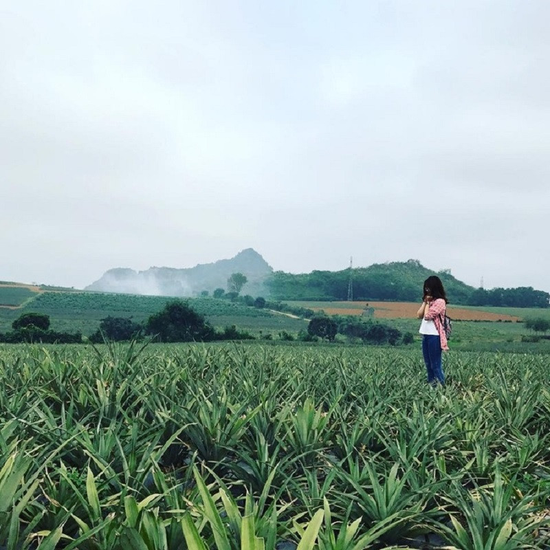 Các bạn trẻ có thể rất dễ dàng di chuyển đến đây trong ngày để chụp những bức hình đẹp ngút ngàn mà không thấy chán trên nền xanh mướt mát.