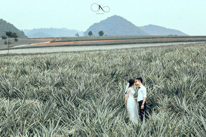 Bên cạnh những danh lam thắng cảnh nổi tiếng như Tam Cốc Bích Động, Tràng An, hang Múa, giờ đây đến Ninh Bình, các tín đồ sống ảo đã có thêm một địa điểm check-in siêu lung linh cho ra lò ngay bức ảnh "triệu like" đẹp hút hồn.