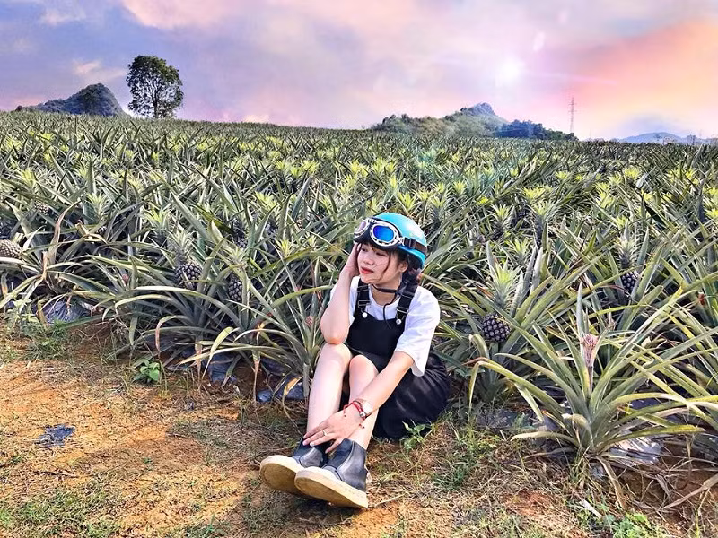 Địa điểm được mới toanh được các bạn trẻ nhắc tới khi đến du lịch Ninh Bình đó là cánh đồng đứa ở Tam Điệp. Với không gian xanh ngút ngàn, giới trẻ sẽ thích mê và đua nhau check-in ầm ầm.