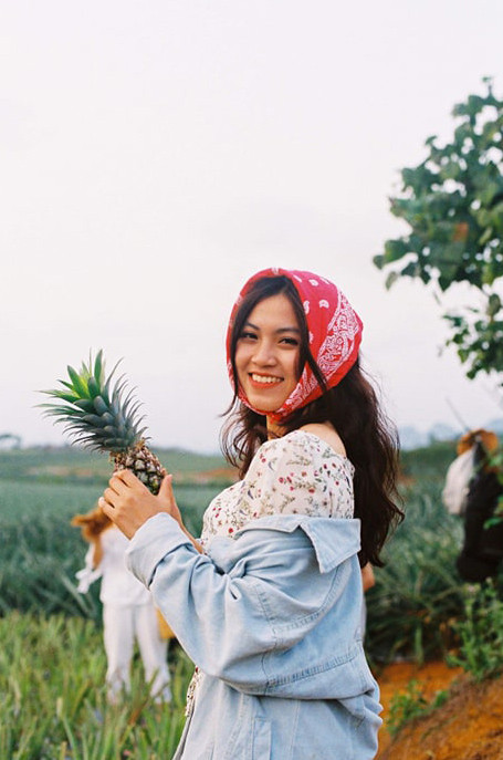 Nhưng nếu đến vào khoảng thời gian từ tháng 3 đến tháng 5, dứa sẽ trong thời kỳ đang độ chín và có thể thu hoạch. Lúc này, bạn vừa có thể ngắm nhìn cánh đồng xanh ngát, vừa được tận hưởng hương thơm ngọt ngào của dứa lan tỏa khắp nơi.