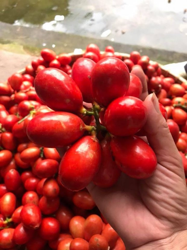 Tro dua kinh di cua co vo khien chong ngat xiu-Hinh-3