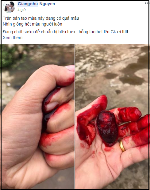 Tro dua kinh di cua co vo khien chong ngat xiu