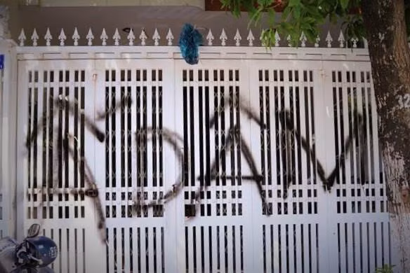 CDM buc xuc voi tam thu cua vo ong Linh 