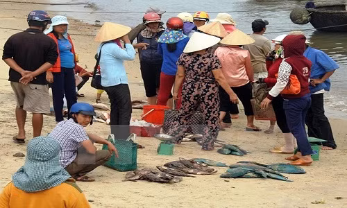 Vu ca chet hang loat: Ngu dan ven bien thap thom cho ket luan