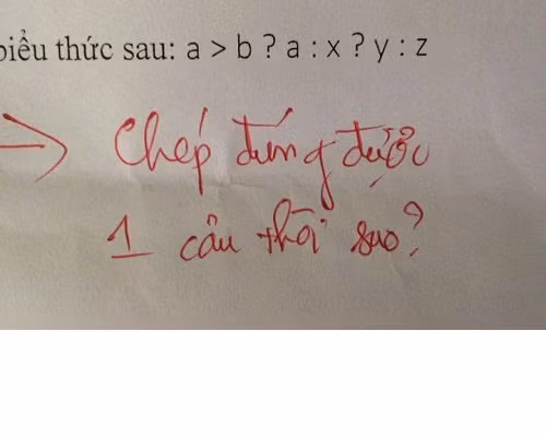 Đã chép phao phải chép cho tới, sao lại chép được có câu 1. Ảnh sử dụng trong bài: Sưu tầm Facebook.