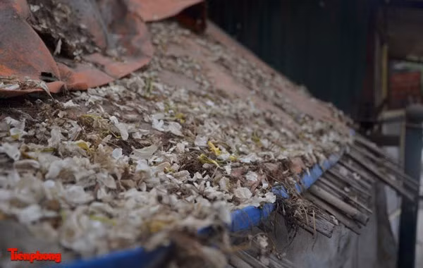 Hoa Bún khi tàn, có màu trắng, rơi xuống như những bông tuyết.