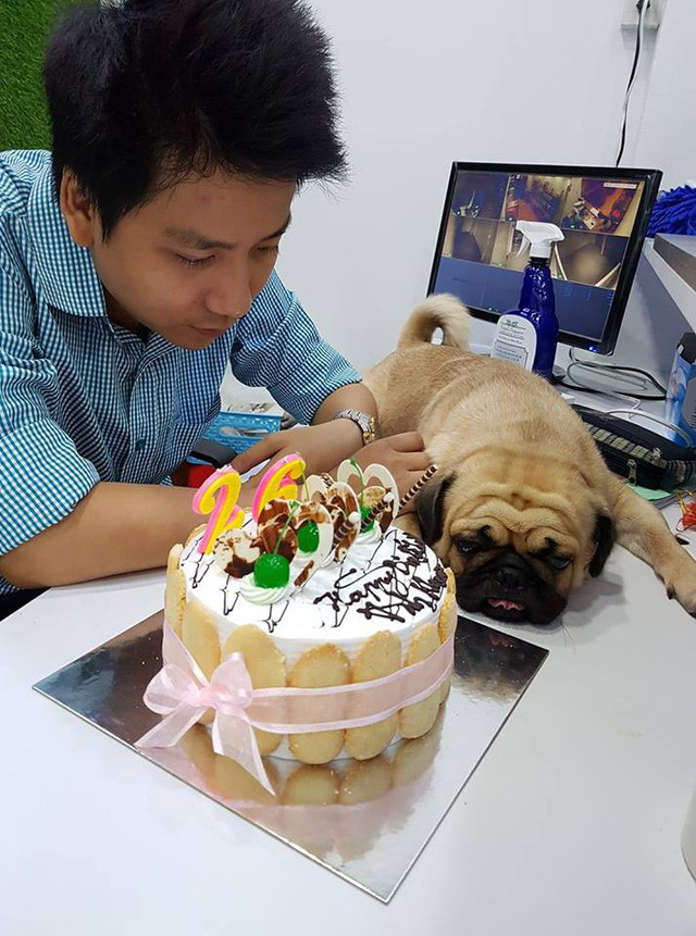 Cái tên “Khoa Pug” được Nguyễn Anh Khoa lấy tên vì niềm đam mê đầu tiên của Khoa. Khoa là một người rất thích nuôi chó cảnh mà đặc biệt là chó Pug. Kênh Youtube Khoa Pug bắt đầu hoạt động từ khoảng tháng 4/2016, thời điểm hiện tại có khoảng gần 1 triệu lượt theo dõi.