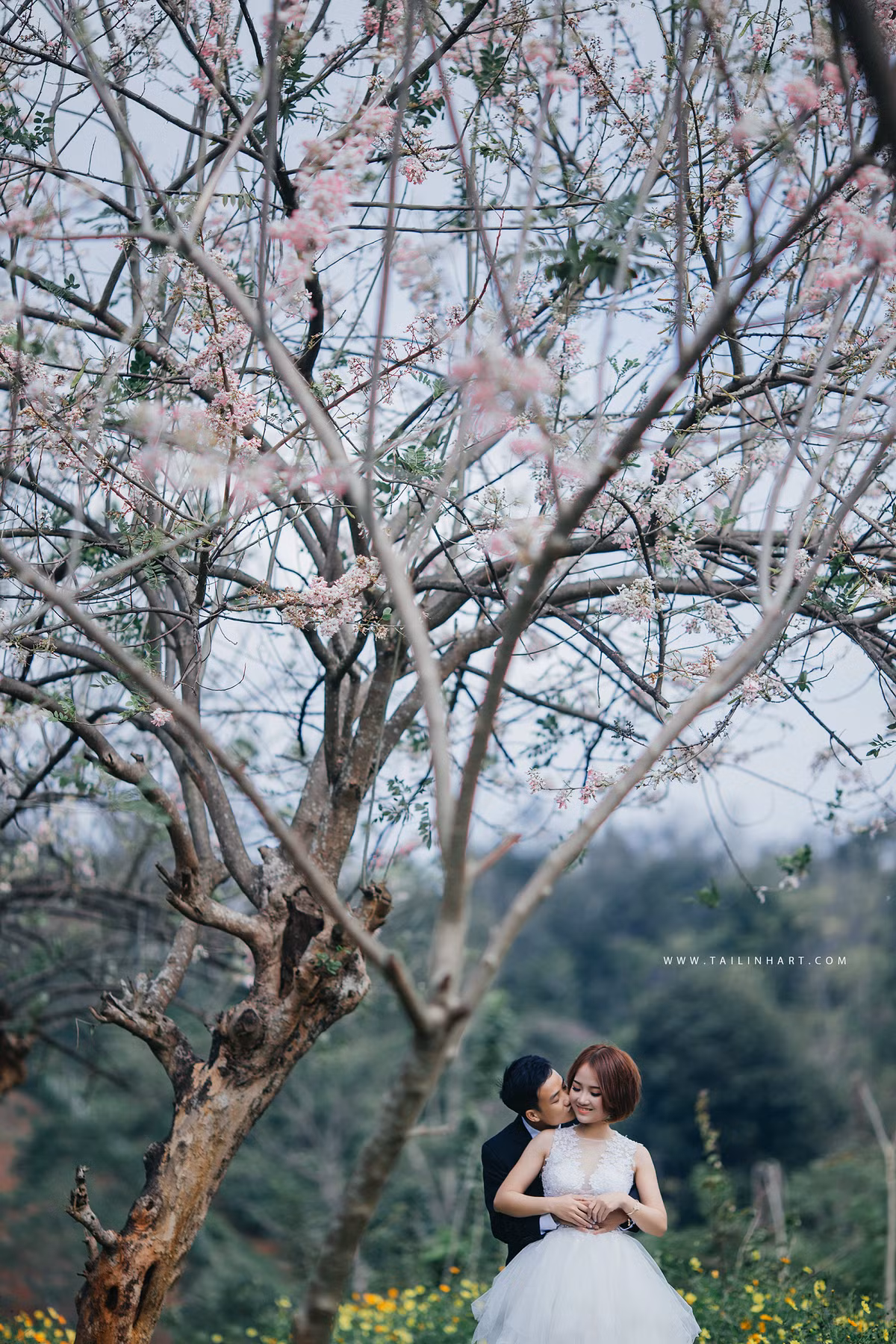 Cùng ngắm những góc ảnh đẹp trong bộ ảnh cưới dưới gốc mai anh đào của nhiếp ảnh gia trẻ - Vũ Tài Linh. Ảnh sử dụng trong bài: NVCC.