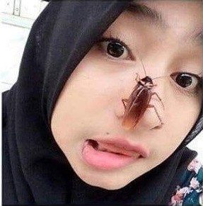 Những tưởng thử thách chụp ảnh kinh dị để gián lên mặt chụp ảnh sẽ không ai vượt qua được vì trông loại sinh vật này thật gớm ghiếc và bẩn thỉu. Nhưng không ngờ, bài viết Alex Aung đã nhanh chóng thu hút đông đảo sự quan tâm của dư luận với hàng trăm bình luận và 18.000 lượt chia sẻ.