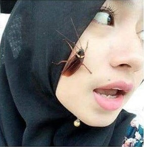 Một số người còn nâng độ khó của thử thách lên khi đặt tới 8 con gián trên mặt và thậm chí một cô gái còn ngậm nguyên con gián vào miệng, khiến ai cũng rùng mình ghê sợ, chỉ hy vọng con gián đó là hàng giả.