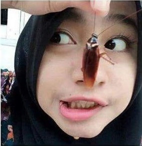 Cụ thể, vào ngày 20/4 vừa qua, một tài khoản Facebook tên Alex Aung đã đăng tải bức ảnh selfie với một con gián trên mặt với dòng chú thích: "Thử thách mới. Bạn có dám làm điều này không?".