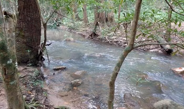Khu vực suối nơi chị Quân gặp nạn