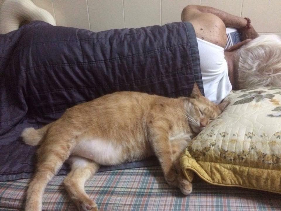 Việc bố mẹ yêu chó, mèo hơn con là chuyện khá bình thường và thời gian qua đã được dân mạng nhắc tới nhiều. Tuy nhiên, việc ông nội yêu mèo và chăm bẵm con vật này hơn con cháu trong nhà thì dường như khá hiếm.