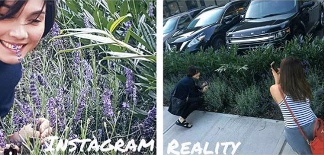 Cả rừng hoa ư! đừng tin vào những bức ảnh sống ảo của dân mạng vì bạn sẽ rất dễ bị lừa.