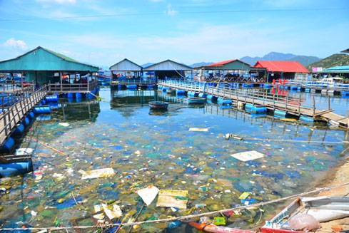 Nhìn những hình ảnh trên của đảo Bình Ba, nhiều dân mạng đã tỏ ra nuối tiếc vì nơi đây được coi là một thiên đường du lịch mới tại Việt Nam và còn rất hoang sơ.