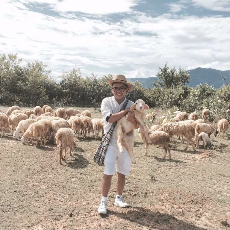 Ngoài cánh đồng cừu An Hòa, nếu đến thăm Ninh Thuận bạn có thể ghé thăm Tháp Chăm, Hang Rái, Bình Tiên.