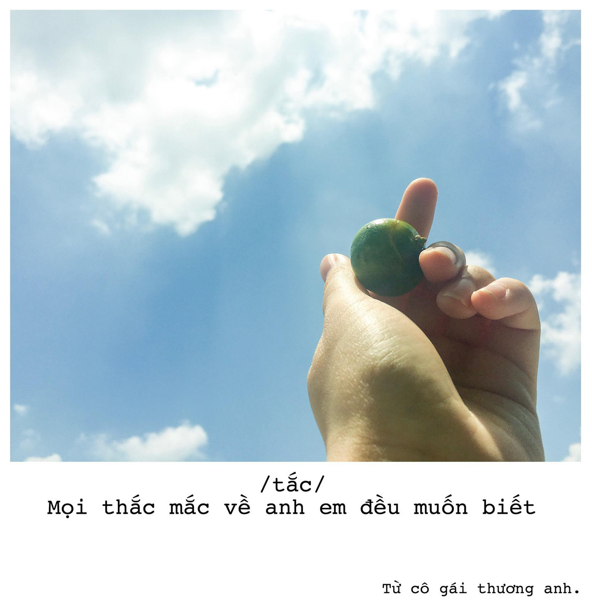 Nickname Mai Mai thì động viên Thoa Bùi rằng: "Ôi, chỉ là hoa quả thôi, có cần phải ngôn tình đến vậy không cô gái? Thanh niên crush thật có mắt như mù, có phúc mà chưa biết hưởng! Mong sao lương duyên toại nguyện, cô gái nhé"