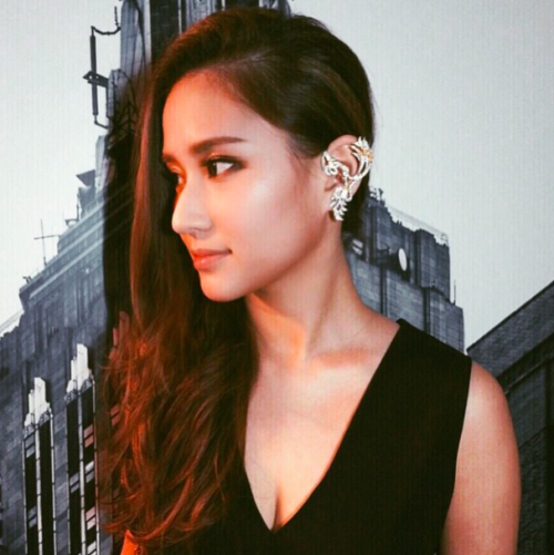 Các thương hiệu thời trang, các nhà mốt lừng danh trên thế giới cũng thường xuyên tặng cho Laurinda những thiết kế mới nhất, sang trọng nhất của mình để nhờ hình ảnh của con gái tỷ phú này khếch trương thương hiệu tại thị trường Macau.