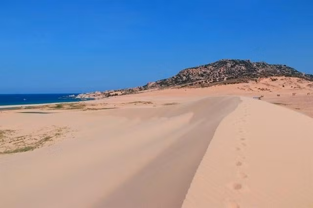 "Dubai phien ban Viet" co gi ma khien dan phuot thich me?