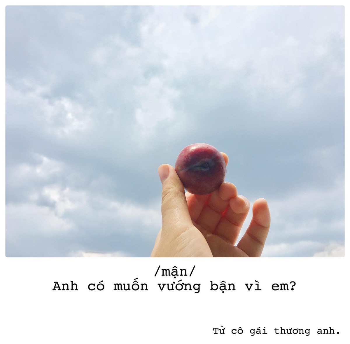 Sau khi xem bộ ảnh "thả thính" của Thoa Bùi, nhiều chàng trai dù chưa biết mặt vẫn tỏ ra vô cùng ngưỡng mộ tình cảm chân thành và màn tỏ tình độc đáo của cô gái trẻ.