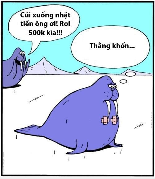 Khi động vật cũng biết tới ngày cá tháng tư.