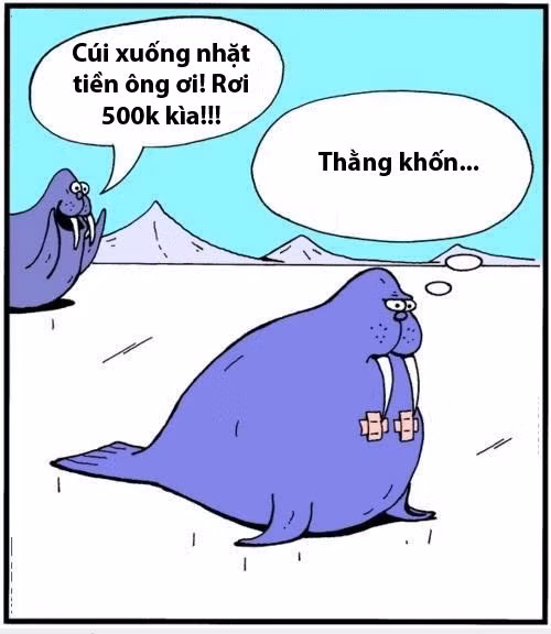 Khi động vật cũng biết tới ngày cá tháng tư.