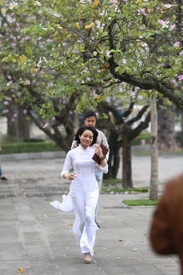 Khu vực đường Bắc Sơn mỗi tháng 2, 3 là nơi nổi tiếng và nhiều người ghé qua nhất, bởi có hai hàng hoa ban Tây Bắc được trồng dày và nở đều.