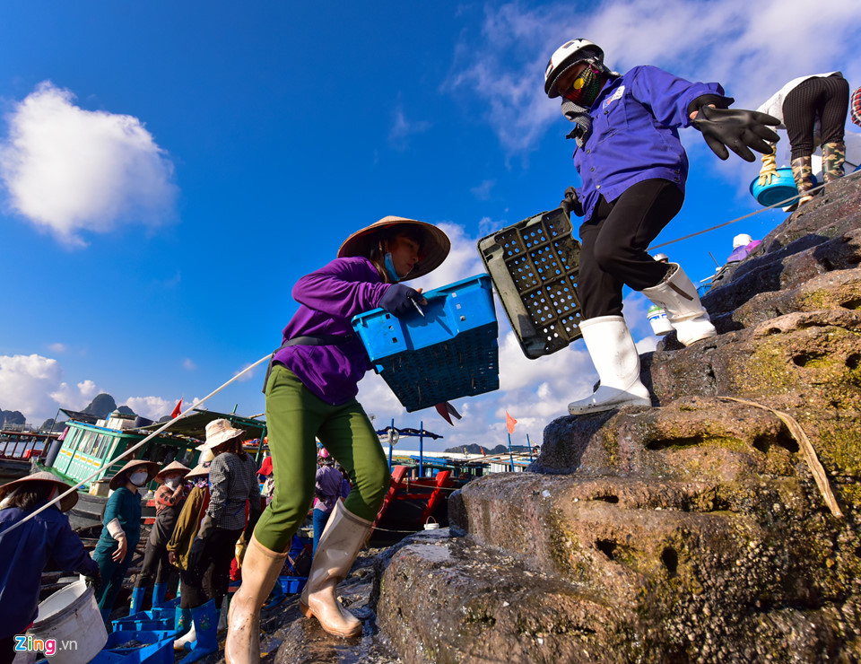 Do thời gian từ lúc đánh bắt đến lúc vận chuyển vào chợ chỉ vài giờ nên hầu hết tôm cá đều rất tươi ngon.