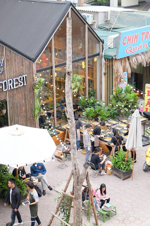 Tropical Forest - Coffee with tree cũng là một địa điểm quán cafe xanh được nhiều bạn trẻ lựa chọn. Từ cái nhìn đầu tiên, Tropical đã gây được ấn tượng cho nhiều người bởi mặt tiền kính trong veo, cho phép ngắm nhìn rất nhiều cây xanh bên trong.