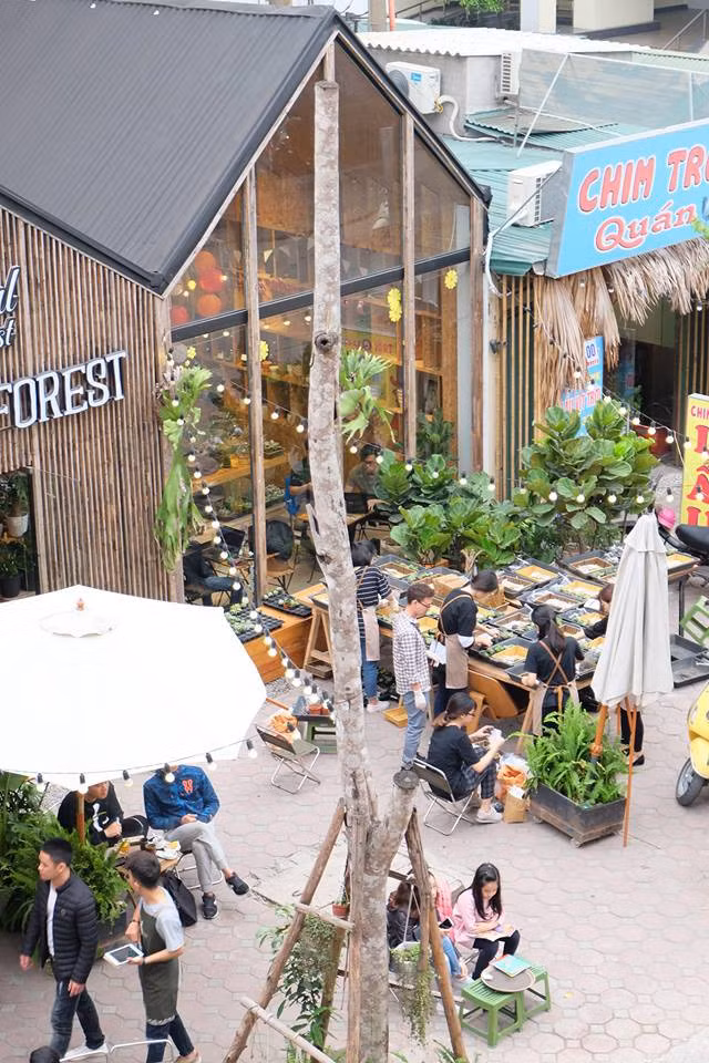 Tropical Forest - Coffee with tree cũng là một địa điểm quán cafe xanh được nhiều bạn trẻ lựa chọn. Từ cái nhìn đầu tiên, Tropical đã gây được ấn tượng cho nhiều người bởi mặt tiền kính trong veo, cho phép ngắm nhìn rất nhiều cây xanh bên trong.