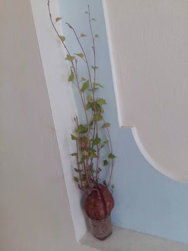 Sau khi thành quả hiển hiện, những người đam mê trang trí khỏi cần lo nghĩ xem nên làm gì để thay đổi không gian xung quanh một cách tiết kiệm chi phí mà vẫn đảm bảo tính thẩm mỹ.