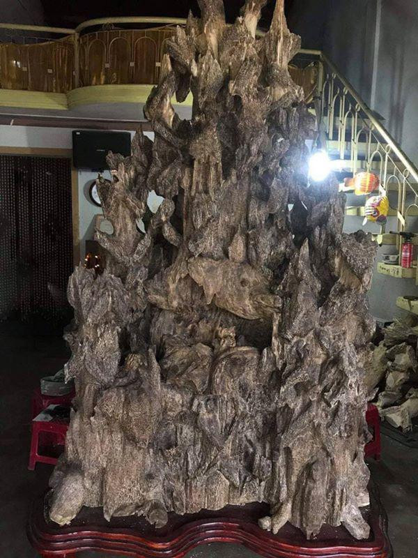 Chủ nhân này tiết lộ anh đã phải mất cả tháng ăn chực nằm chờ ở tỉnh Quảng Nam mới săn được khúc trầm này về. “Thời điểm tôi chính thức sở hữu nó cách đây 4 năm với giá mua là 450 triệu đồng”, vị chủ nhân này cho hay.