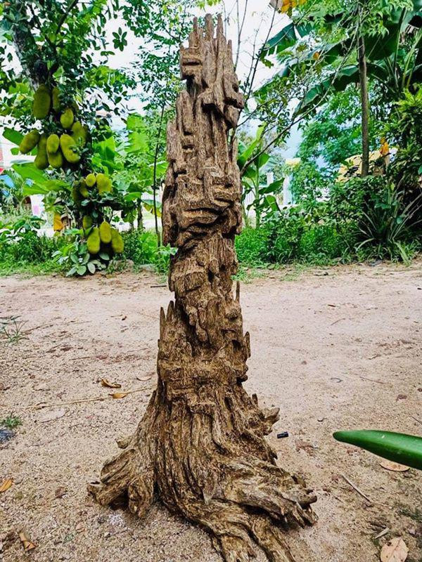 Đây là cây lũa trầm được vị đại gia này mất nhiều thời gian nhất. Anh cho biết phải mất hơn một năm đi lại, tốn kha khá về kinh phí mới sở hữu được nó.