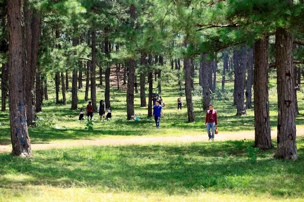 Buổi tối, dân bản thường tổ chức đốt lửa trại, giao lưu văn nghệ, thưởng thức các món đặc sản nơi đây như cơm lam, thịt hun khói, cá ống tre.