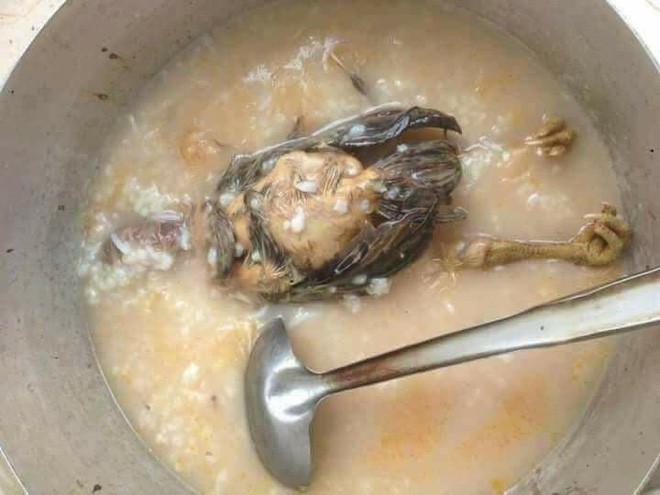 Để trao giải cho những món ăn thảm họa được tạo ra từ những cô nàng kém khéo tay, dân mạng đã vui vẻ lập ra giải thưởng "vụng về triển vọng" của năm để vinh danh những món ăn nhìn thôi đã không muốn động đũa.