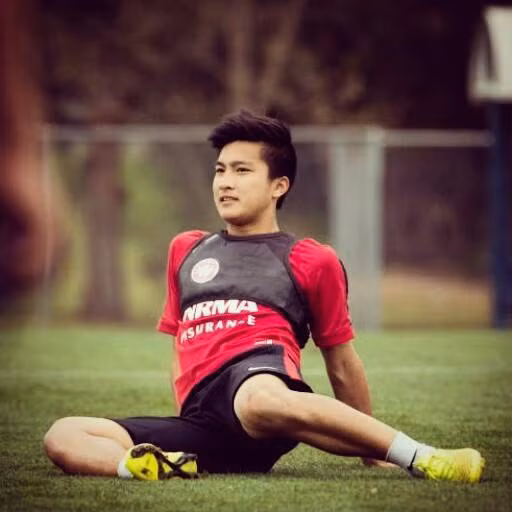 Mùa bóng 2014, Martin Lo lọt vào top 10 cầu thủ tốt nhất A-League. Anh từng được gọi vào các đội tuyển U13, U17 và U20 Úc.