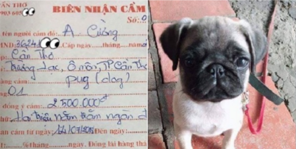 Thu cung bi mang di cam ca nam khong chuoc, chu tiem cam do than troi