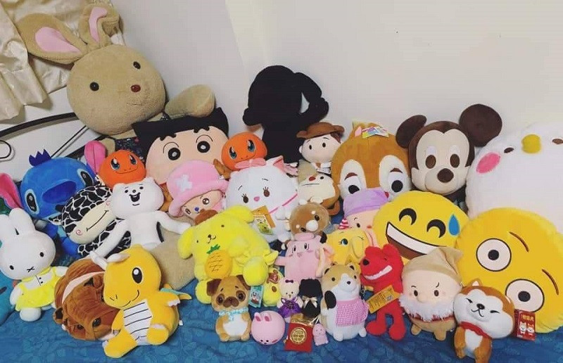 Đài tệ có mệnh giá khá cao so với tiền Việt nên chi phí cho mỗi lần gắp thú nhồi bông rơi vào khoảng 1 đến 2 triệu VNĐ. Mỗi tháng Huyền Trang đi gắp khoảng 15 ngày. Với mức sống ở Việt Nam đây là một con số không hề nhỏ.