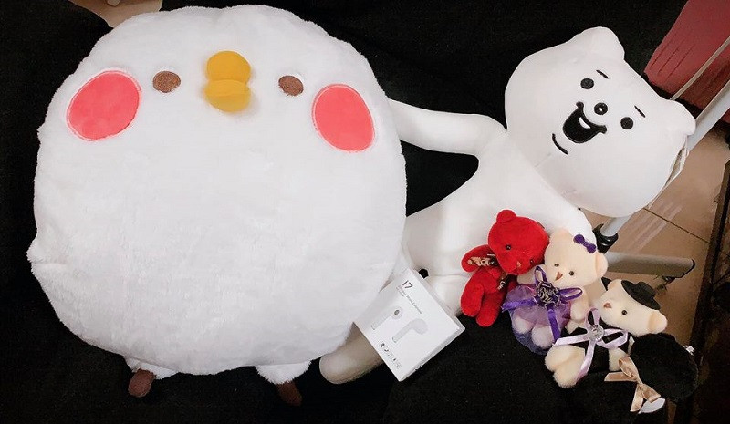 Huyền Trang chia sẻ: "Hôm nào tâm trạng không vui mình đều đi gắp gấu, mỗi lần gắp được mọi muộn phiền sẽ tan biến hết. Ngày hôm sau liền vui vẻ trở lại".