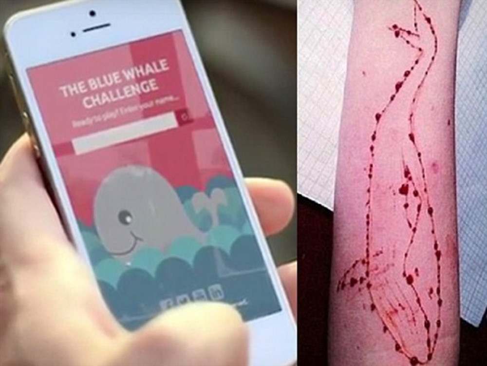 Theo ghi nhận trong cuộc họp về thông tin, tuyên truyền, dư luận xã hội đầu tháng 4 (do Ban Tuyên giáo Huyện ủy huyện Cái Bè, tỉnh Tiền Giang tổ chức định kỳ mỗi tháng một lần), một số ý kiến ở cơ sở phản ánh một hiện tượng rất đáng lo ngại: Thời gian gần đây trong dư luận cha mẹ học sinh rất lo lắng trước sự xuất hiện của trò chơi “Thử thách Cá voi xanh” trong học sinh nhiều trường học trong huyện.