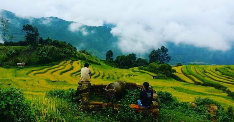 Những “sân mây” khổng lồ của chốn đại ngàn. Mây len lỏi qua các thung lũng, mây xếp tầng xếp lớp bao khủ khắp bản làng, mây lãng đãng trên những ruộng bậc thang và con đường quanh co dốc. Ảnh: haphuongtom