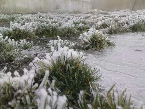 Phia Oắc là một dãy núi thuộc tỉnh Cao Bằng. Với độ cao gần 2000m, Phia Oắc là nóc nhà của tỉnh Cao Bằng. Từ trên dãy núi, bạn sẽ cảm thấy mình đang bồng bềnh trong những tầng mây. Những đợt tuyết rơi đầu mùa cũng khiến cảnh vật thêm phần huyền bí.