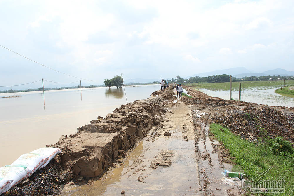 Tan muc de be tong nghin met gan 40 ty bao ve Thu do khoi ngap lut-Hinh-4