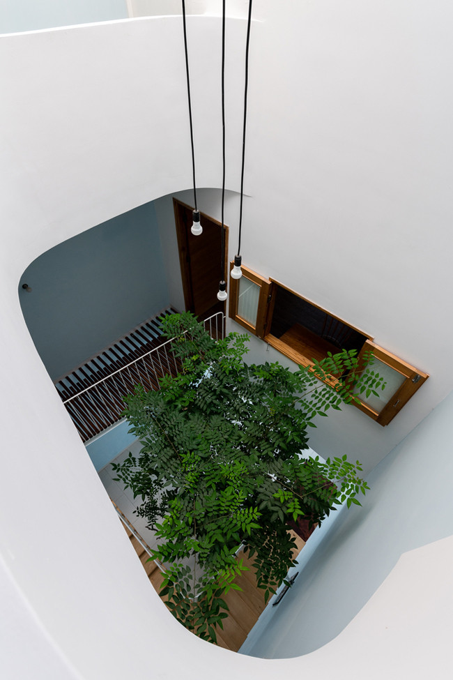 Trần gỗ thưa và tán cây ở dưới giếng trời giúp làm giảm ánh sáng cũng như nhiệt độ khi mặt trời chiếu trực diện.